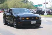 Black Mustang